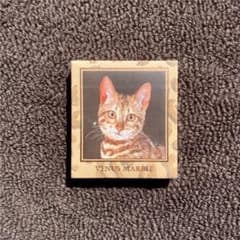 【値下げ!】ヴィーナスマーブル キャットシリーズ アイシャドウ ベンガルキャットのサムネイル