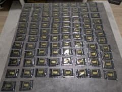 マイクロアルジェコーポレーション 阿拉善90包 - メルカリ