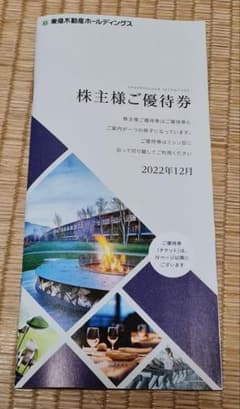 東急不動産ホールディングス 株主優待券 冊子のサムネイル