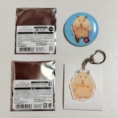 はむにぎり　缶バッチ　アクリルキーホルダー　きなこのサムネイル