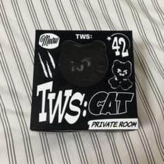 TWS NO TRAGEDY CAT ROMEOのサムネイル