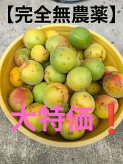 ✳️光様専用✳️【完全無農薬】青梅　2kgのサムネイル