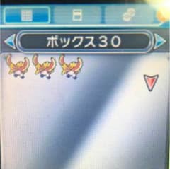 ポケモンムーン ホウオウ3体のサムネイル