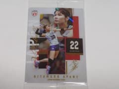 バレーボール女子日本代表 ツインウエハース 北窓絢音選手のサムネイル