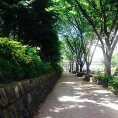 ruchan 様 専用のサムネイル