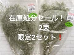 かすみ草　2束　在庫処分セール！のサムネイル