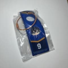ハイキュー!! みにコレ！フライトタグコレクションのサムネイル