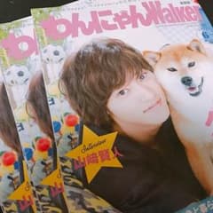 山崎賢人 わんにゃんWalkerのサムネイル
