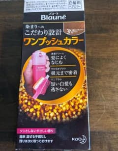 ブローネ ワンプッシュカラー  3N明るいナチュラリーブラウンのサムネイル