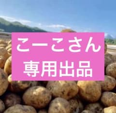 こーこさん専用出品のサムネイル