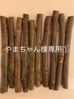 桜の小枝　50本セットのサムネイル