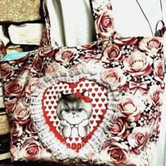 コヤンイサムチョン ルミちゃん、クラウディちゃんのピンクの薔薇柄