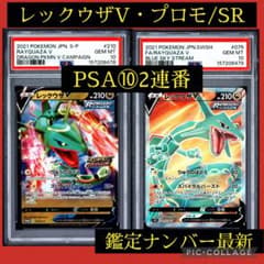 PSA10 連番 レックウザV 210/S-P 075/067 SR ポケカ PSA10 連番 レックウザV 210/S-P 075/067 SR ポケカ - メルカリ