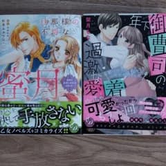 旦那様の不埒な蜜月～過剰な偏愛に新妻は困惑中!?～のサムネイル