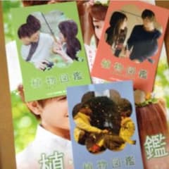 植物図鑑ミニカレンダーのサムネイル