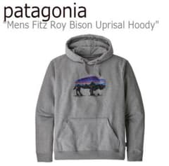 ⭐️美品⭐️patagonia パタゴニア Bison パーカーのサムネイル