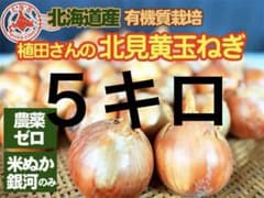 農薬不使用 北海道産 幻の北見黄玉ねぎ 5kg 有機栽培 自家採種 送料無料 農薬不使用 北海道産 幻の北見黄玉ねぎ 5kg 有機質栽培 自家採種 送料