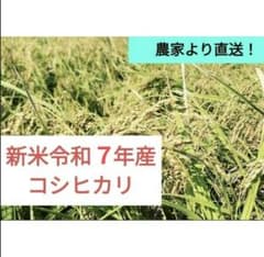 無洗米 箱込み1.9キロ 新米 コシヒカリ 農家直送　米　白米のサムネイル