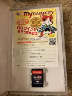 H様専用 ゼルダ無双 厄災の黙示録 Nintendo Switchのサムネイル