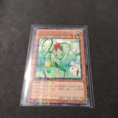 遊戯王 ナチュルローズウィップ DTC2 - メルカリ