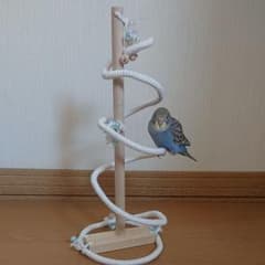 バードトイ ※ ハンドメイド ※ Oのサムネイル