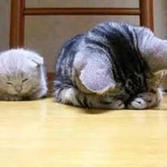 二児ママ様専用ANAP＊小さめ90のサムネイル