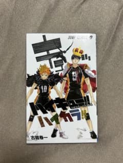 ハイキュー！！ 公式カラーイラスト集 ハイカラ！！のサムネイル
