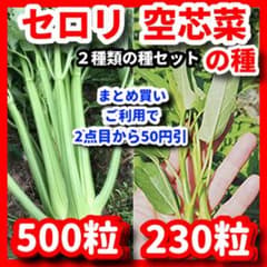 セロリ＆空芯菜の種セット⭕️のサムネイル