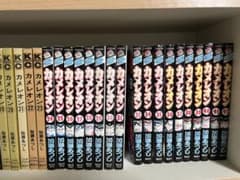 カメレオン　41冊　まとめ売りのサムネイル
