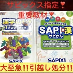 17-18 未記入 SAPIX サピックス 重要教材❣️ 漢字の要 サピカん