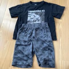 ティラノサウルスTシャツとパンツセットのサムネイル