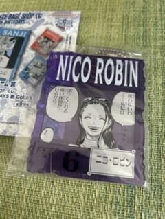 ONE PIECE BASE SHOP 복권 아크릴 블록 매력 로빈