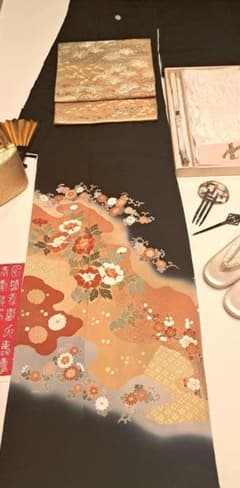 美品❇️作家もの 手描友禅 暈し染め 5つ紋 比翼仕立て フルセット
