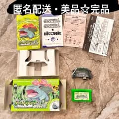 箱あり 説明書・ワイヤレスアダプタ付き ポケモン リーフグリーン