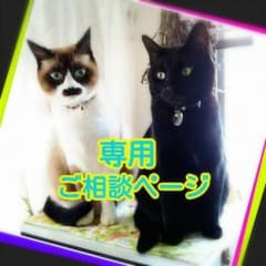 ♡ひめたん♡様専用 ご相談ページのサムネイル