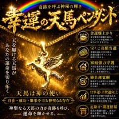 天馬ペンダント☆龍神☆曰く付き☆呪物☆護符☆占い☆座敷わらし☆恋愛