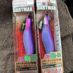 エギリー DARTMAX TR-BK 40g パープル 2個セットのサムネイル