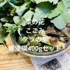 【全て無農薬】春が来ましたね♪このまま発送致します^^のサムネイル