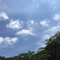 おしゅうさん専用のサムネイル