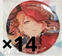 プロセカ 望月穂波 グリッター缶バッジ vol.48A 50点 プロセカ プロジェクトセカイ グリッター缶バッジ 望月穂波 18個の通販