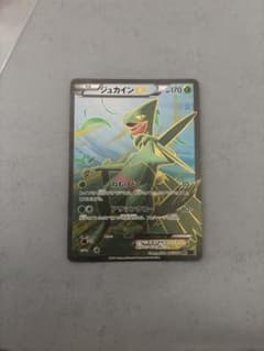ジュカインEX SR XY 拡張パック「バンデットリング」 キラ 082/081