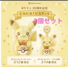 ポケモン ピカチュウ ぬいぐるみ マスコット 30周年記念 2点セット