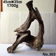 アク抜き済み流木【183】セール アク抜き済み流木 No.303 レア型 - メルカリ