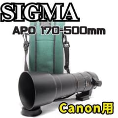 超望遠の世界へ！SIGMA APO 170-500mm F5-6.3 一眼レフ m84474223437_1.jpg?1743630186