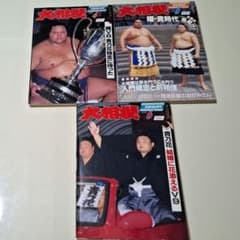 大相撲　1995年 (平成7年) 4月～6月号　3冊セット　読売新聞社