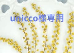unicco様専用ページのサムネイル