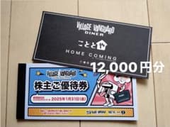 ヴィレッジヴァンガード　株主優待券12枚のサムネイル