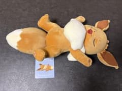 모찌리 봉제인형 Pokémon Sleep 이브이