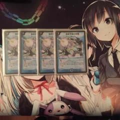 るふな様専用 デュエルマスターズ 目的不明の作戦 値下げしましたのサムネイル