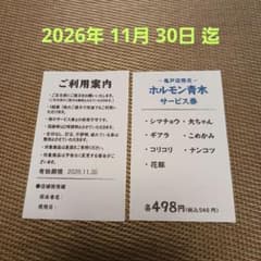 ホルモン青木　サービス券　亀戸店限定　2026年11月30日 迄 - 2